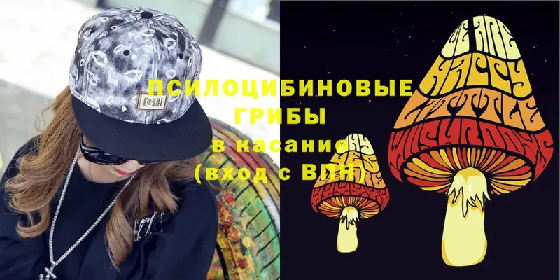 Галлюциногенные грибы Magic Shrooms  Лихославль 